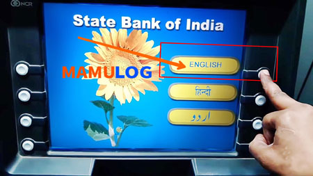 Select language